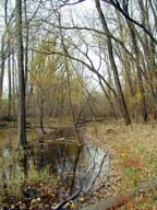 Looking south across Pond 2 in the fall.