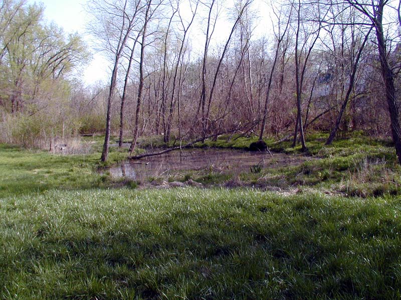 Looking south from the sacred mound across pond 1 in early Spring.
