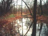 Looking south across Pond 2 in late fall.