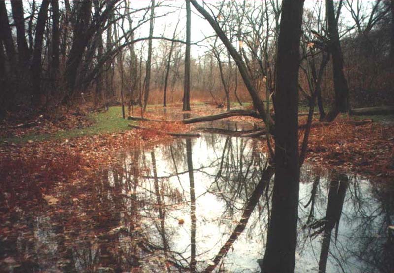 Looking south across Pond 2 in late fall.