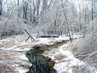Looking south across Pond 1 after an ice storm.