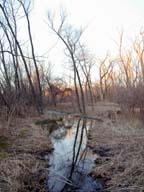 Looking north across Pond 1 late one  winter's day.