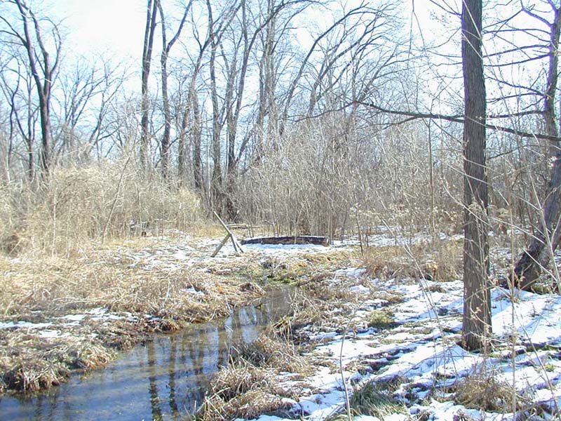 Looking south across Pond 1 in  winter.